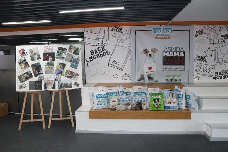 Öğrencilerden sokak hayvanlarına mama desteği G3