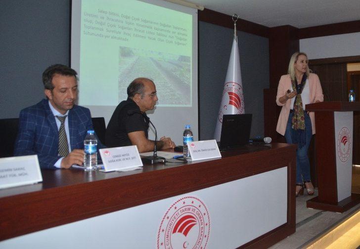 Müdürden Bafralı dondurmacılara tüyo G4