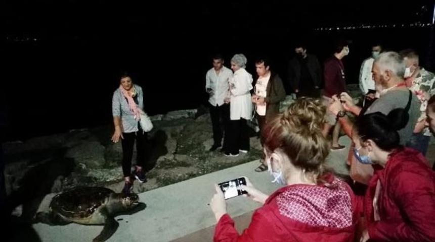 &Ouml;l&uuml; caretta carettayı g&ouml;r&uuml;nt&uuml;leyebilmek i&ccedil;in birbirleriyle yarıştılar