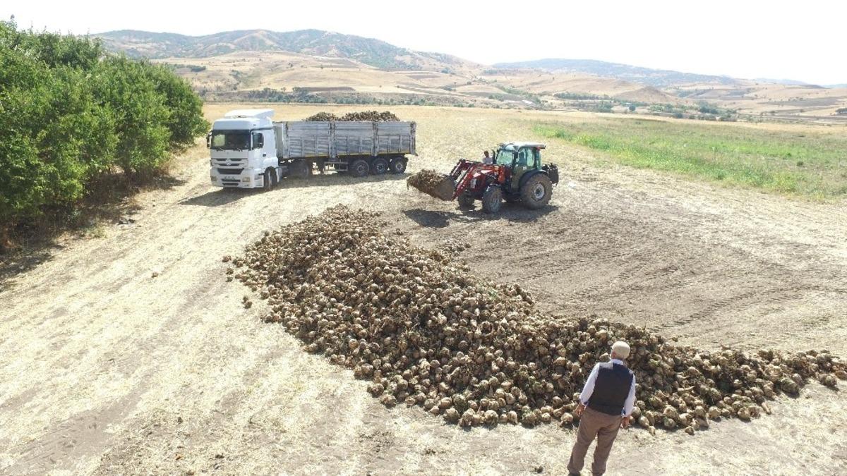 Akpazar Ovası&rsquo;nda &ccedil;ift&ccedil;ilerin y&uuml;z&uuml; g&uuml;ld&uuml;
