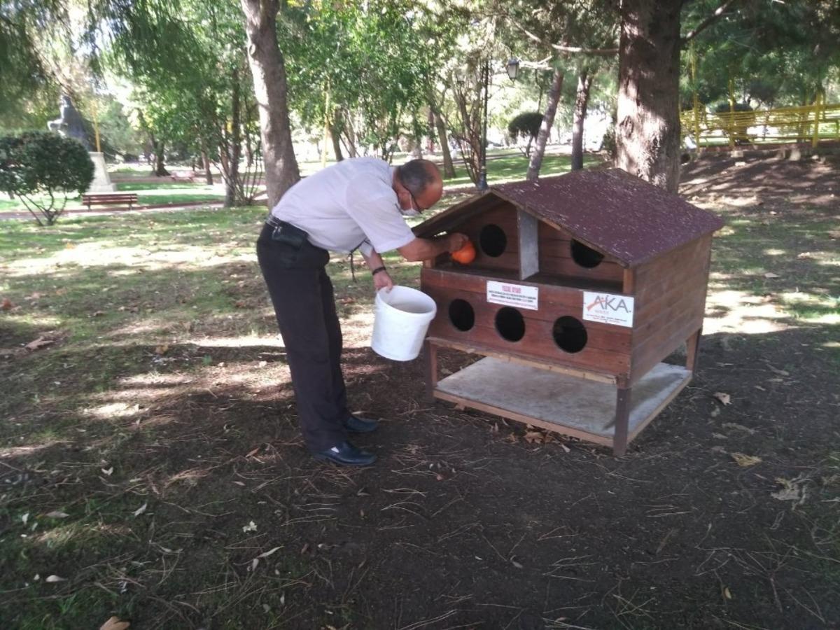 S&uuml;leymanpaşa&rsquo;da sokak hayvanları yalnız değil