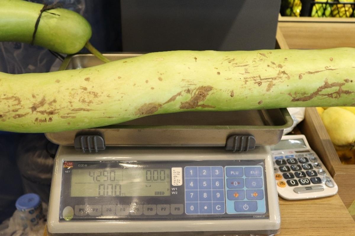 Bursa&rsquo;da dev kabak g&ouml;renleri şaşırtıyor