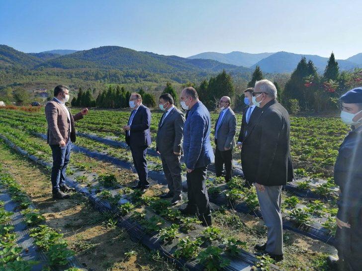 Vali tutulmaz Devrek’te incelemelerde bulundu G1