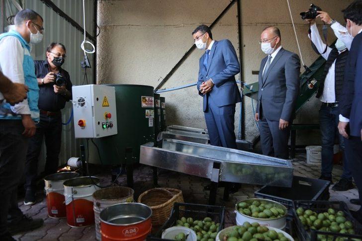 Ceviz İşleme Tesisi hizmete sunuldu G3