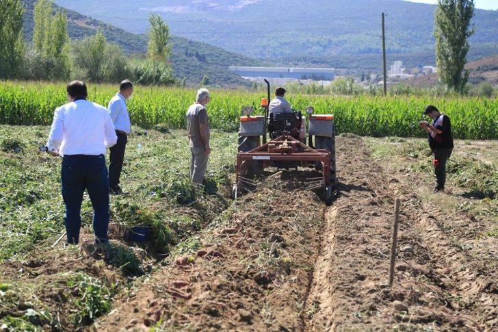 Tatlı patates için kariyerini terk etti, ilk hasadı yaptı G5