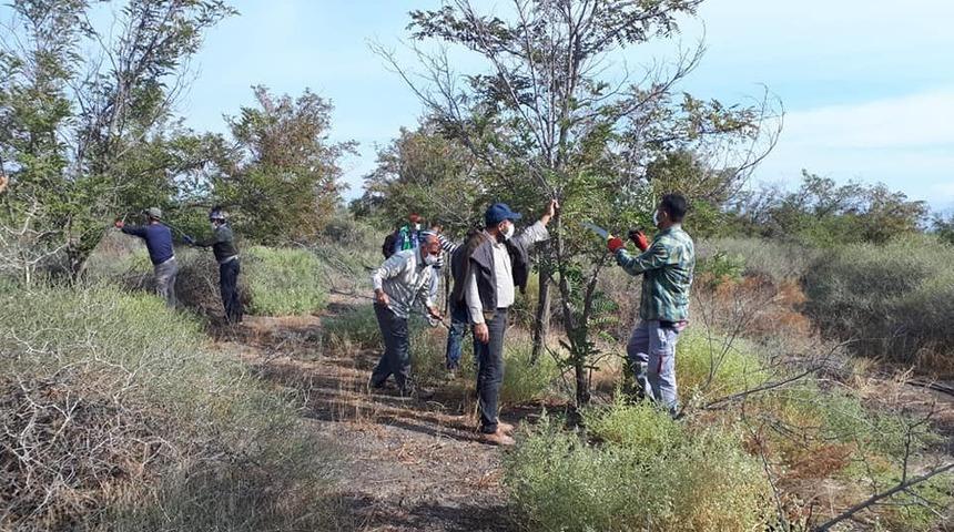 Erozyonu &ouml;nlemek i&ccedil;in ağa&ccedil; dikildi