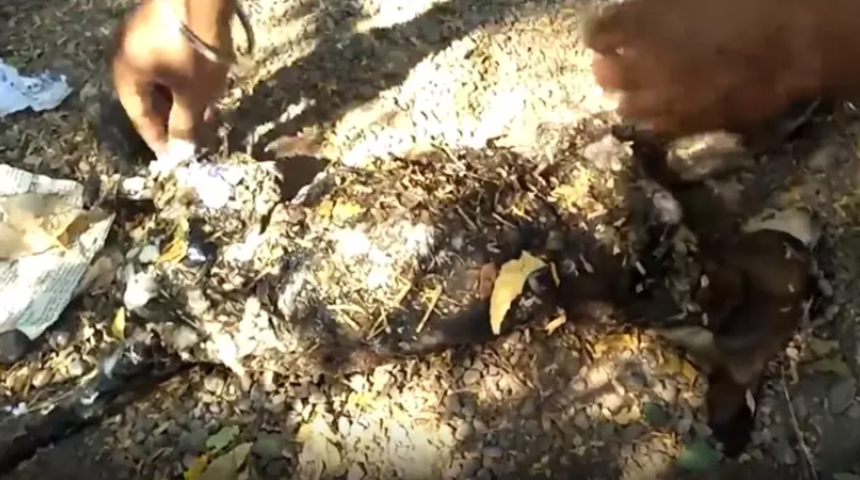 Kaldırıma yapışmış, tanınmaz halde bulundu! İşte son hali