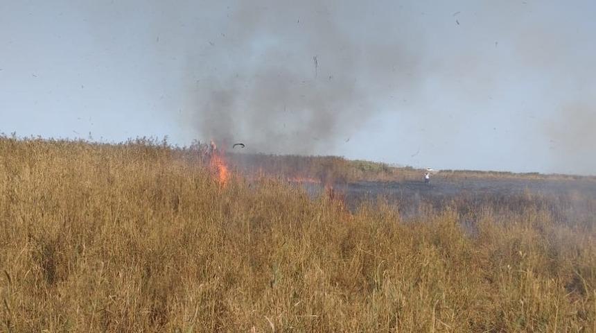 Sazlık alanda yangın
