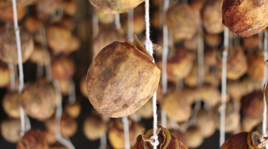 3 hafta içinde olgunlaşıyor! Şifa dolu lezzete dönüşüyor