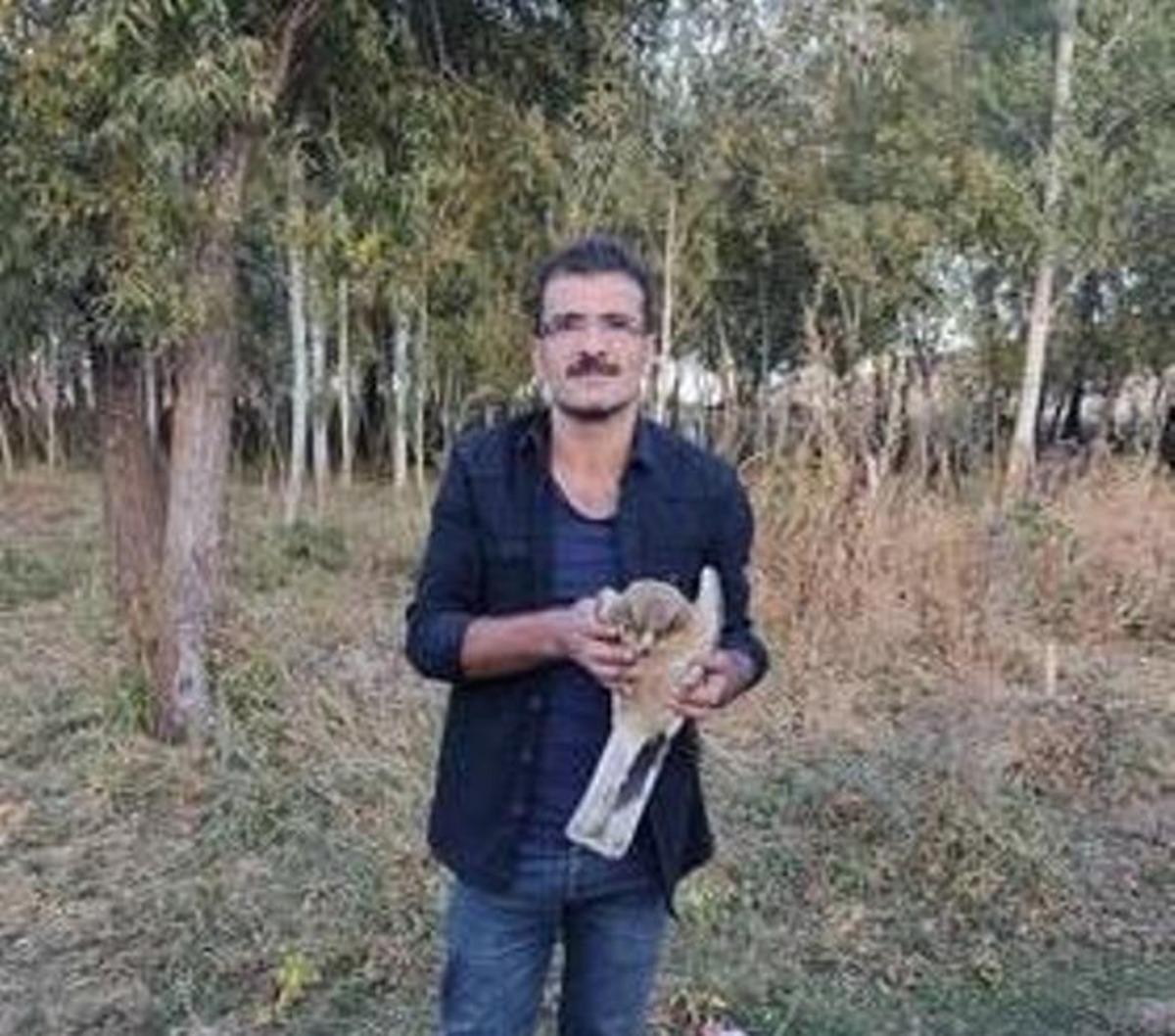 Yaralı yavru kartal tedavi altına alındı