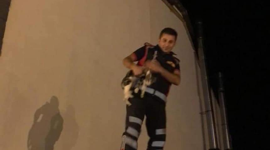 &Ccedil;atıda mahsur kalan kediyi itfaiye kurtardı