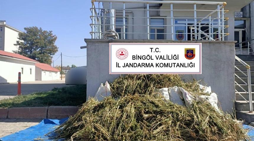 Bingöl’de 40 kilo esrar ile 2 bin 150 kök kenevir ele geçirildi