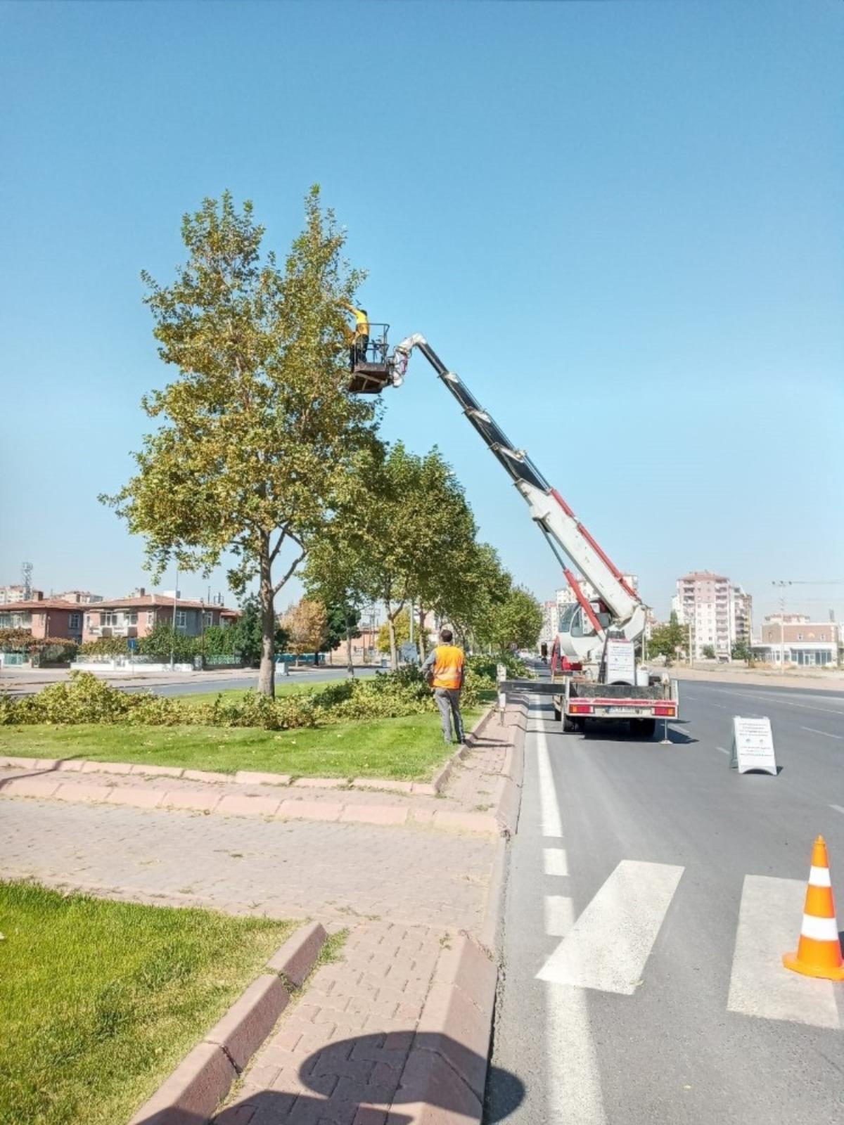 B&uuml;y&uuml;kşehir&rsquo;den hummalı sonbahar &ccedil;alışması