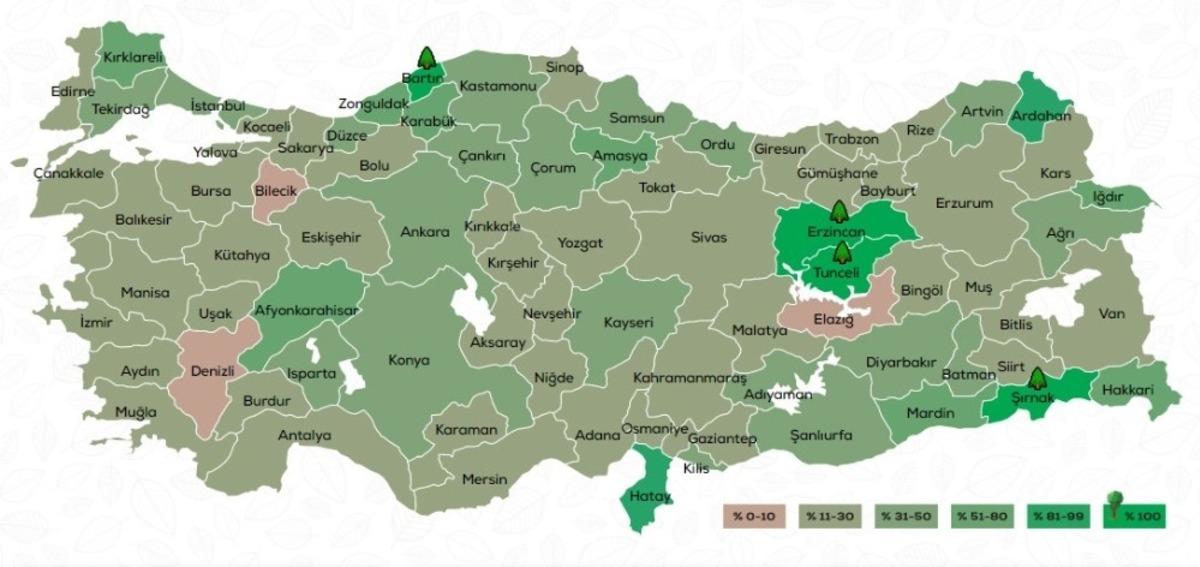 D&uuml;zce&rsquo;de 131 bin 775 fidan dikilecek