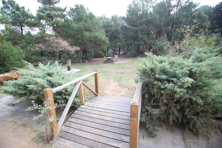 Büyükşehir’den Gaziler Dağı’nda temizlik çalışması G4