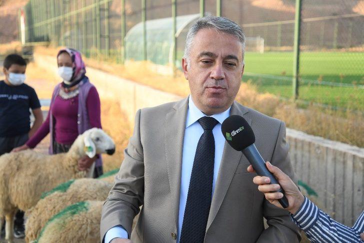 Kayseri’de damızlık koçların dağıtımına başlandı G3