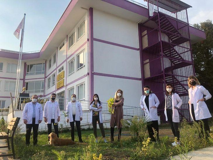 Uğurlu öğrenciler okul bahçesini ağaçlandırdı G1