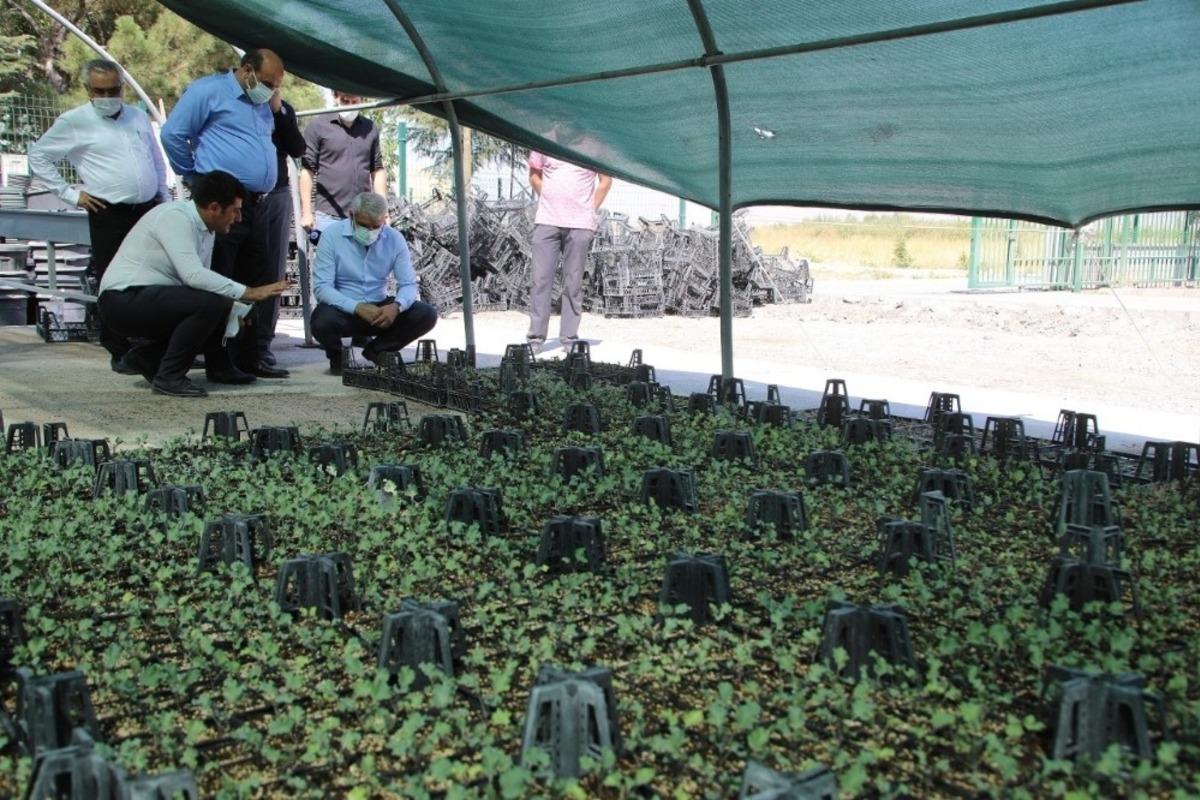 Battalgazi g&uuml;zelleştiriyor