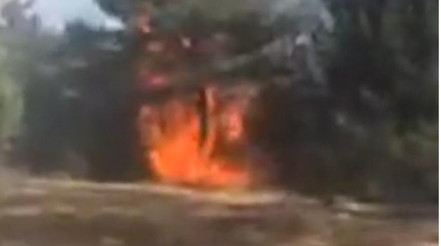 Ordu&rsquo;da korkutan orman yangını