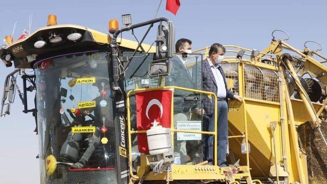 Yeşilhisar’da şeker pancarı hasadı