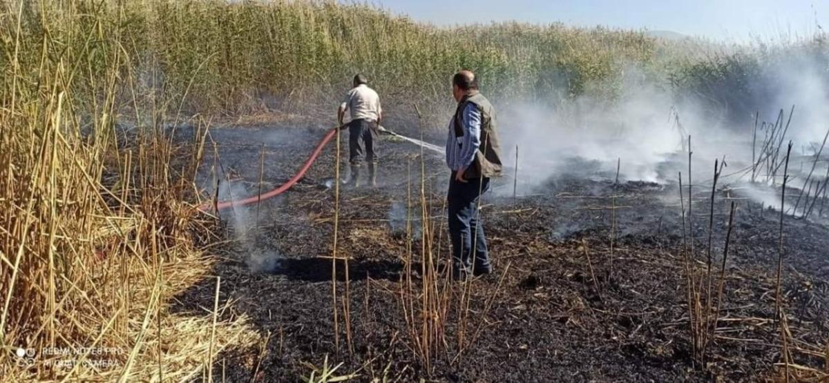 Bir&ccedil;ok kuş t&uuml;r&uuml;n&uuml;n yaşadığı sulak alanda yangın