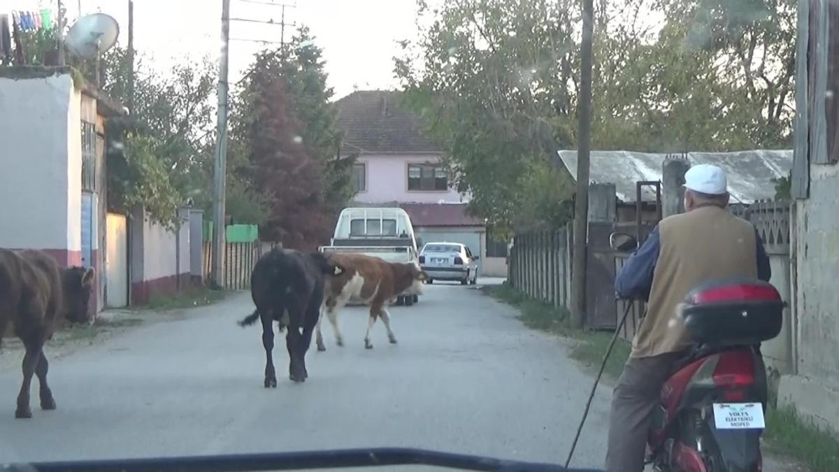 Teknolojiye ayak uydurdu
