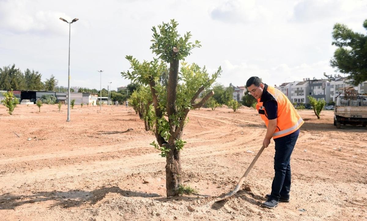 Kepez&rsquo;e 3 milyon 200 bin metrekare yeşil alan