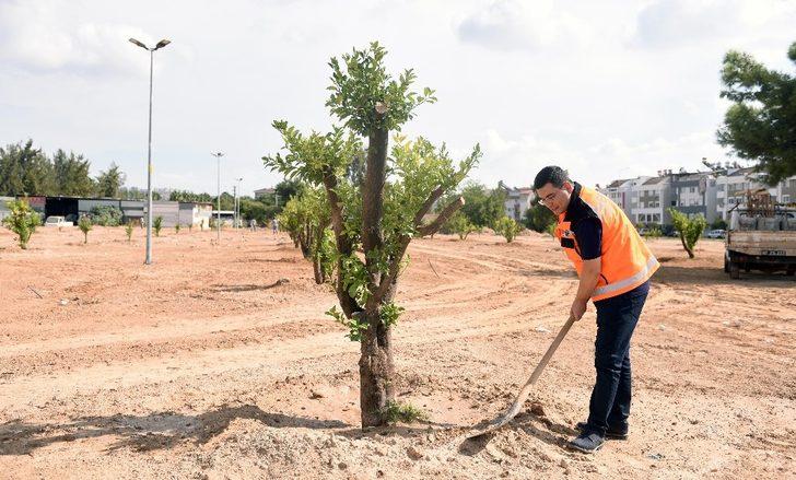 Kepez’e 3 milyon 200 bin metrekare yeşil alan G1