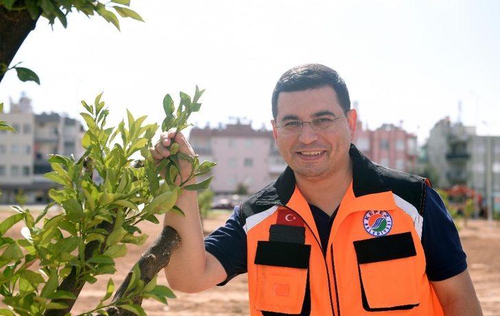 Kepez’e 3 milyon 200 bin metrekare yeşil alan G2