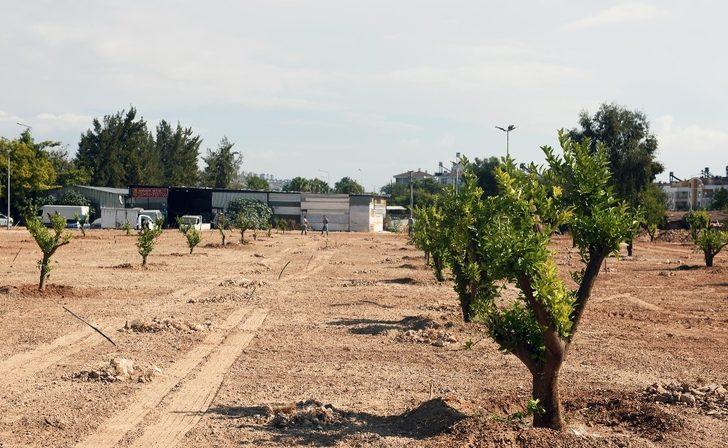 Kepez’e 3 milyon 200 bin metrekare yeşil alan G4