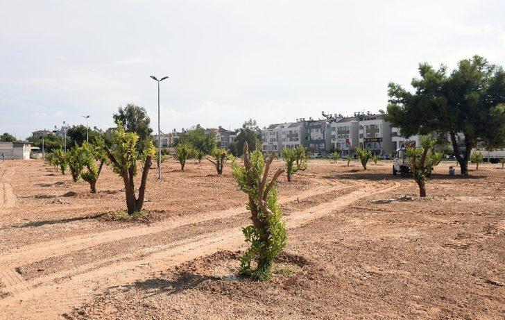 Kepez’e 3 milyon 200 bin metrekare yeşil alan G5