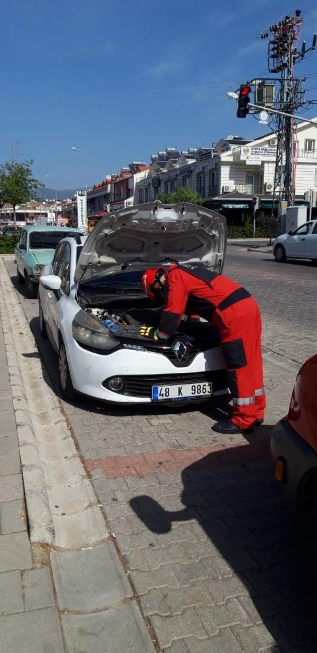 Fethiye’de otomobilin motoruna sıkışan kediyi itfaiye kurtardı