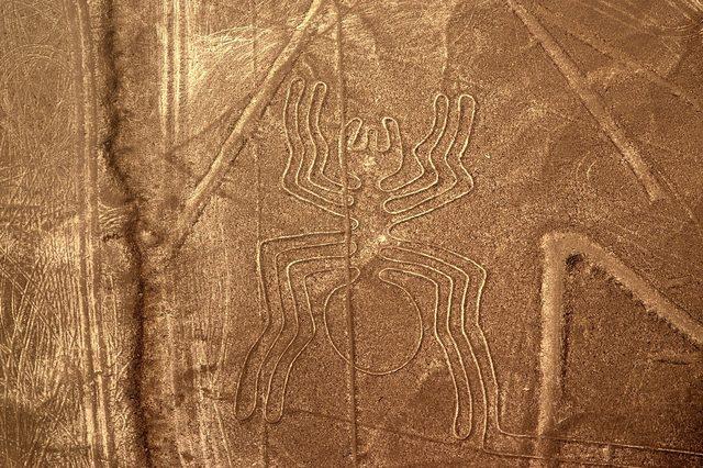 perudaki-arkeologlar-bir-yamaca-cizilmis-2-bin-yillik-kedi-figuru-kesfetti_9635_dhaphoto3