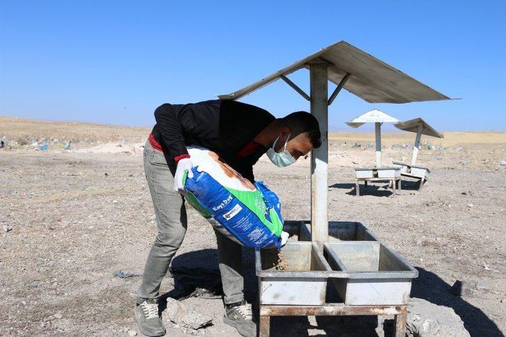 Erciş Belediyesi sokak hayvanlarını unutmuyor G5