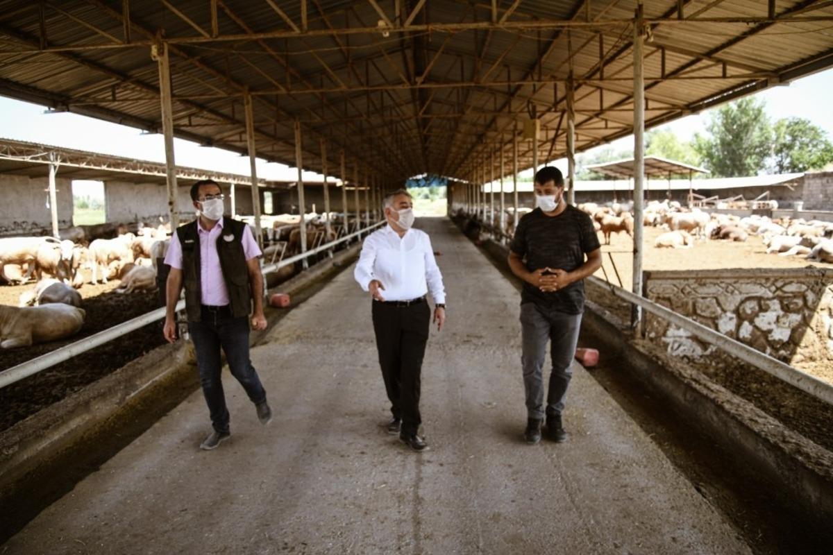 İl Tarım ve Orman M&uuml;d&uuml;r&uuml; Şahin, "Asıl sorun ette değil otta"