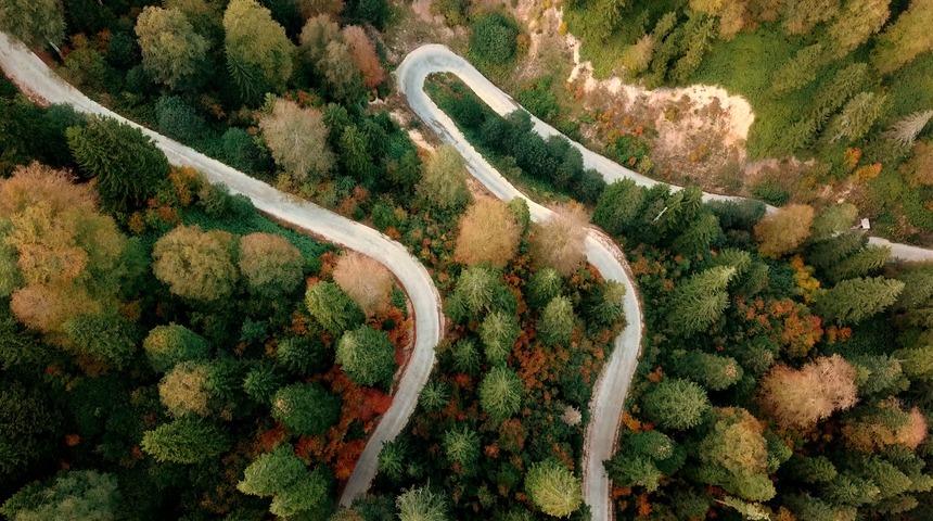 Güzelliği hafızanızdan silinmeyecek! İşte sonbaharın eşsiz noktası: Örümcek Ormanları