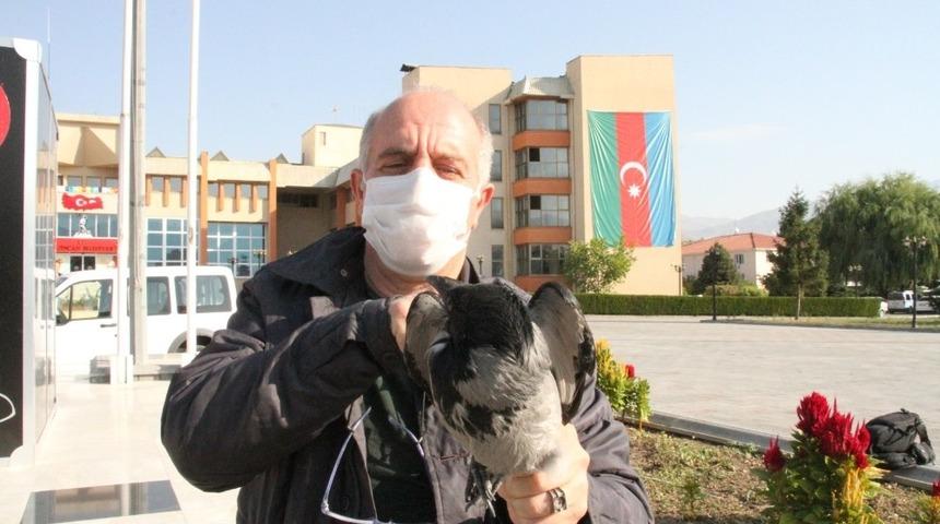 Yaralı karganın imdadına belediye çalışanı yetişti