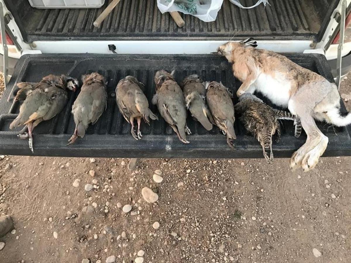 Ka&ccedil;ak avlanan avcılara g&ouml;z a&ccedil;tırılmadı