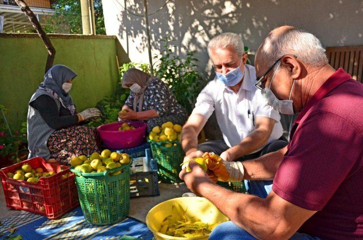 Trabzon hurması sofraları süslemeye başladı G4