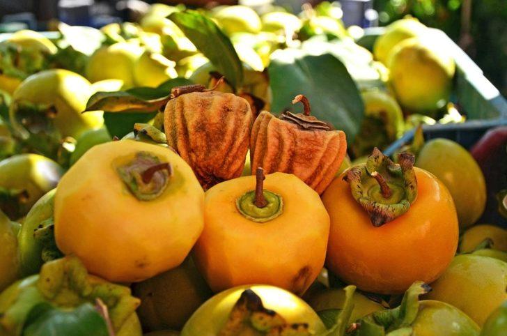 Trabzon hurması sofraları süslemeye başladı G5