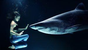 Rüyada köpek balığı görmek ne anlama gelir? Rüyada köpek balığı öldürdüğünü, saldırısı görmek ne demek?