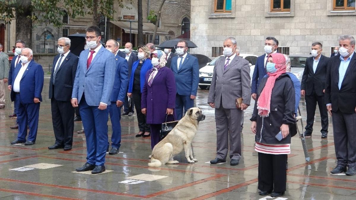 Muhtarların saygı duruşuna eşlik eden sokak k&ouml;peği g&uuml;l&uuml;msetti