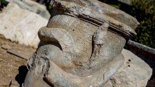 Patara Anti Kenti'nde heyecanlandıran keşif! 2 bin yıllık sumak bulundu