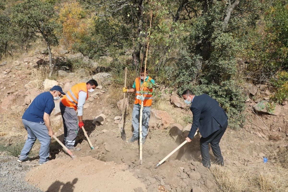 Talaslı Muhtarlar Ali Dağı&rsquo;na ağa&ccedil; dikti