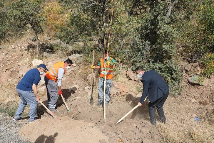 Talaslı Muhtarlar Ali Dağı’na ağaç dikti G1