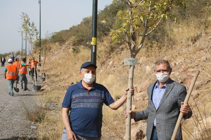 Talaslı Muhtarlar Ali Dağı’na ağaç dikti G2