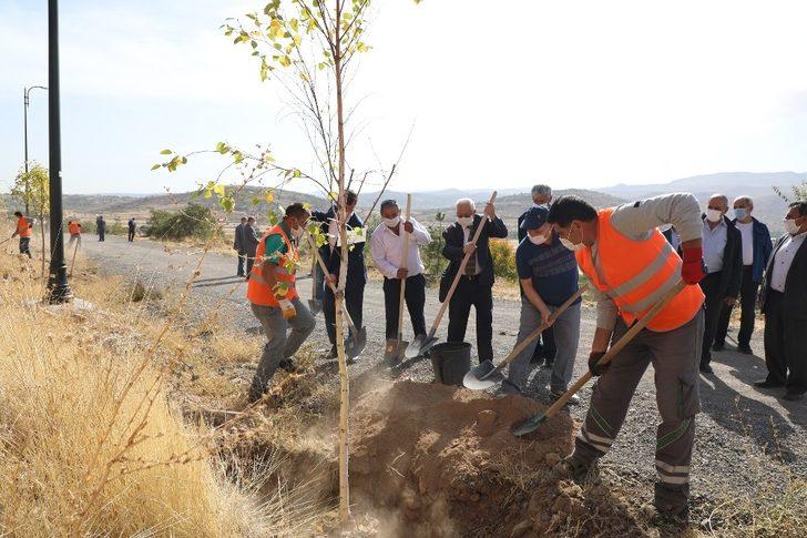 Talaslı Muhtarlar Ali Dağı’na ağaç dikti G3