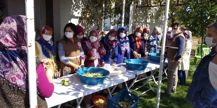 Manisa’da FAO Projesi meyvelerini vermeye başladı G4