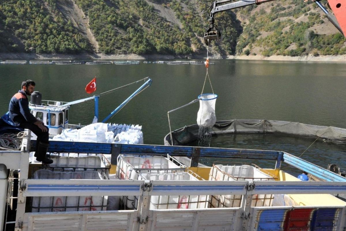 G&uuml;m&uuml;şhane&rsquo;de alabalık ve somon hasadı başladı