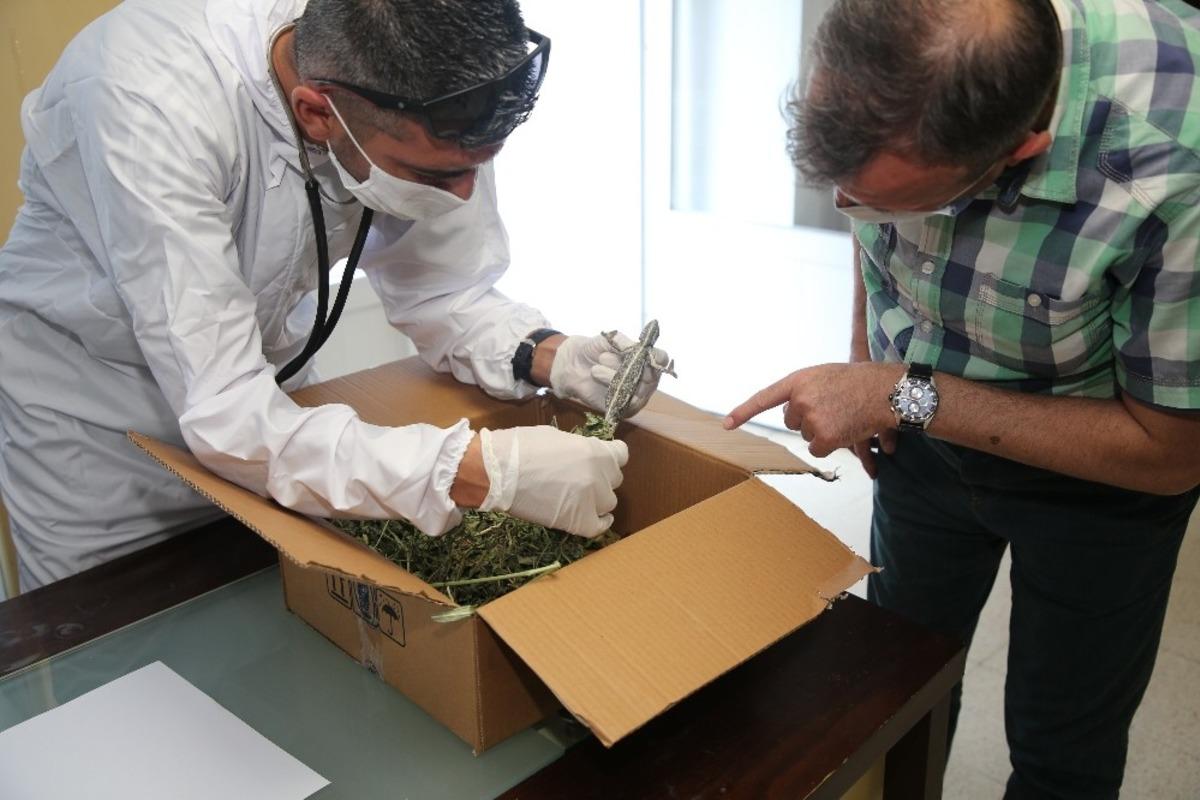 İş yerinde bulduğu bukalemunu Akdeniz Belediyesi ekiplerine teslim etti